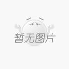 【回首·展望】砥礪2024，闊步2025，特萊得一直在路上！